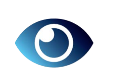 Vision